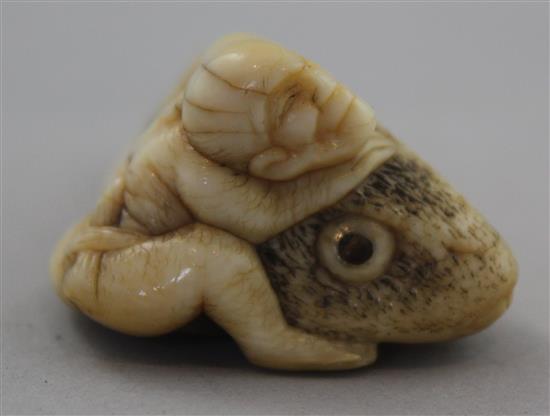 A Japanese ivory netsuke of a man riding an earthquake fish, Edo period, 4.7cm